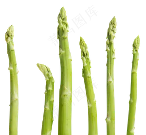 芦笋蔬菜