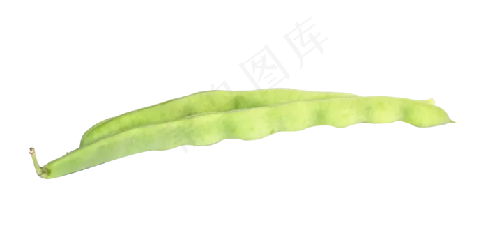 绿色蔬菜豆角(2953X2953(DPI:300))
