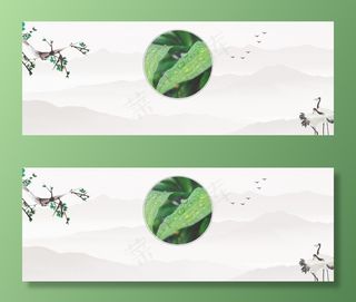 白露节气中国风传统banner