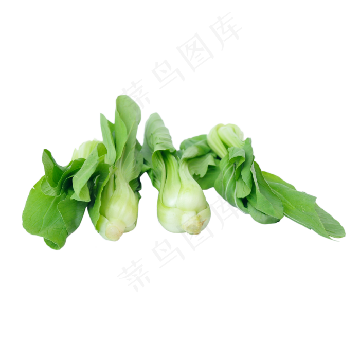 几把油菜(1266X1668)