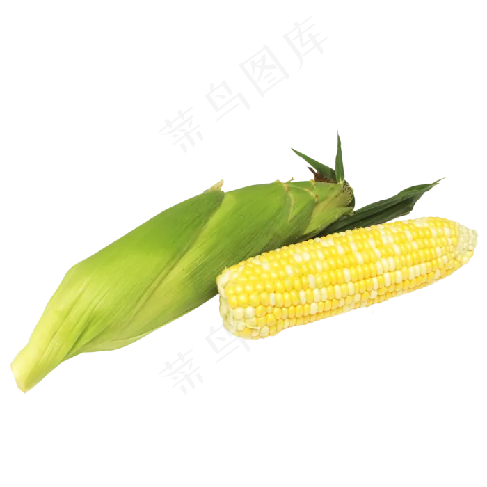 新鲜玉米蔬菜(2333*2333px 300 dpi )