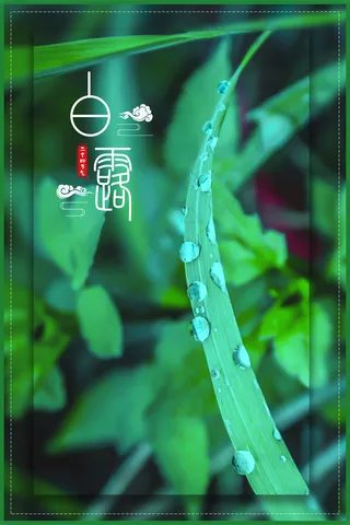 白露传统节气24节气