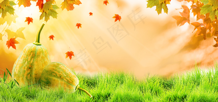 简约文艺立秋节气背景