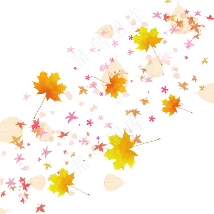 漂浮树叶花瓣植物叶子装饰树叶黄