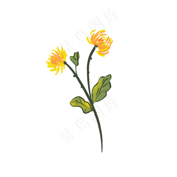 重阳节菊花元素(2000X2000(DPI:300))psd模版下载