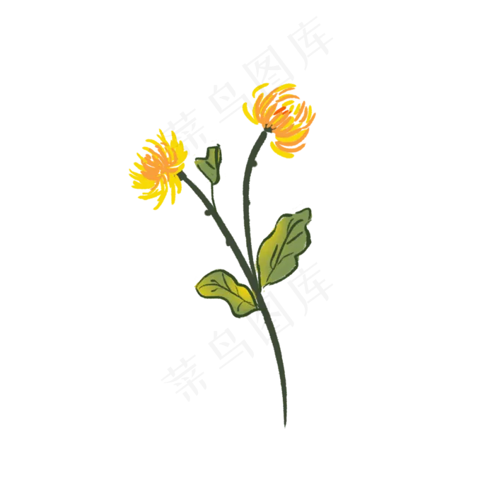 重阳节菊花元素(2000X2000(DPI:300))psd模版下载