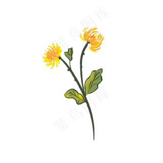 重阳节菊花元素