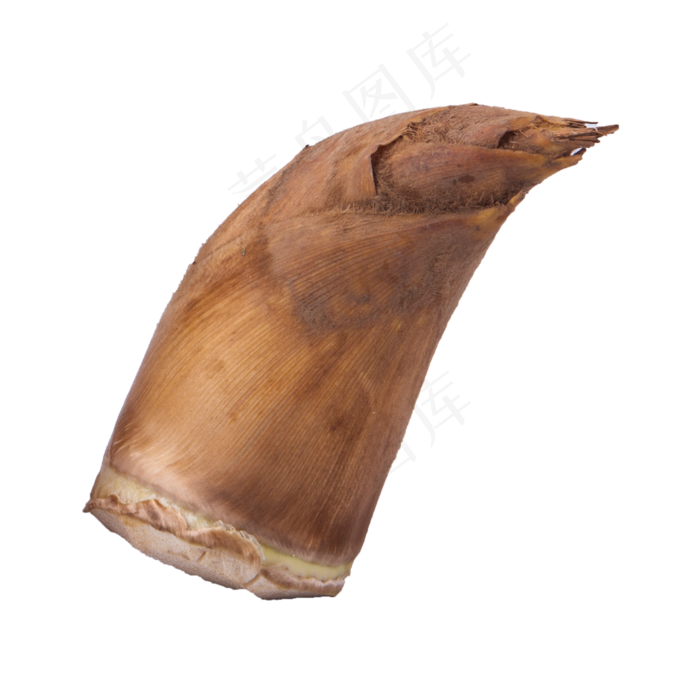 一颗新鲜美味的笋