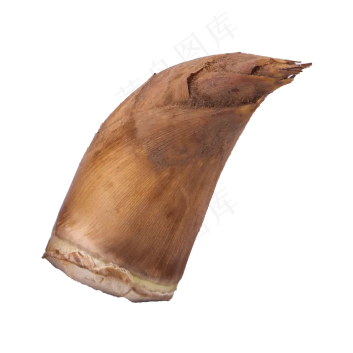 一颗新鲜美味的笋(2000X2000(DPI:300))psd模版下载