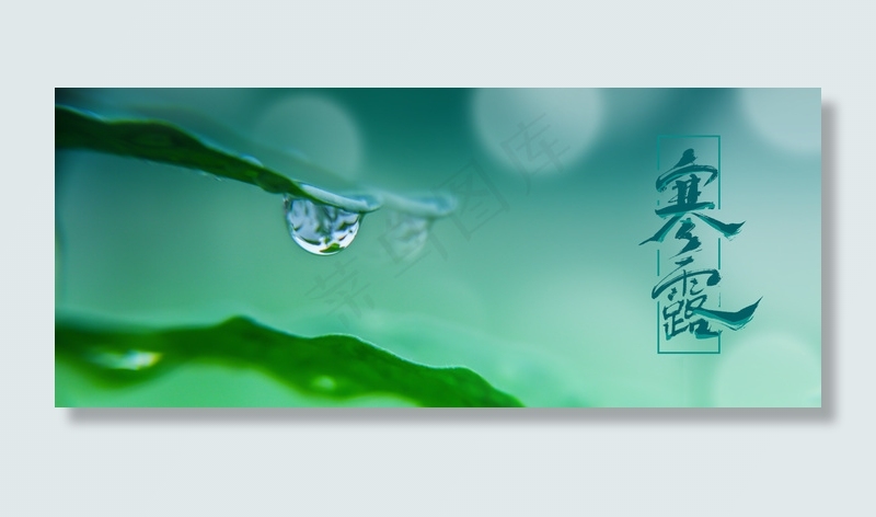 简约二十四节气寒露背景合成