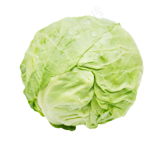 新鲜蔬菜包心菜
