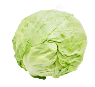 新鲜蔬菜包心菜