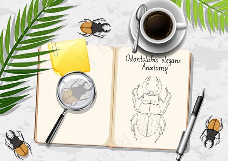 顶视图办公桌，带有绿叶和昆虫的办公元素