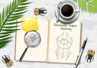 顶视图办公桌，带有绿叶和昆虫的办公元素