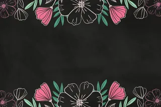 在黑板背景上画粉红色的花