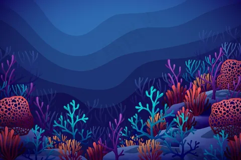 用于视频会议的海底背景