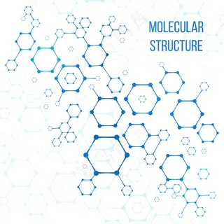 分子结构或分子结构编码说明