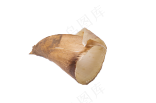 新鲜蔬菜竹笋营养