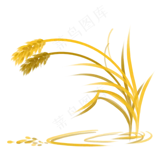 手绘秋天金黄的麦穗大米