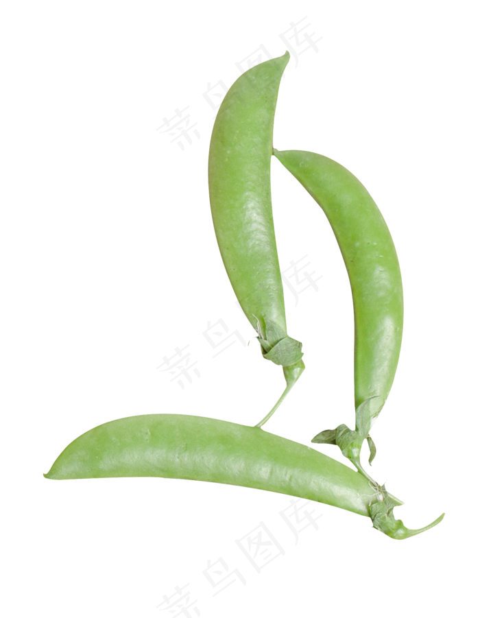 青豆蔬菜豆子(2000X2500(DPI:300))
