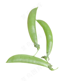 青豆蔬菜豆子 青豆蔬菜豆子