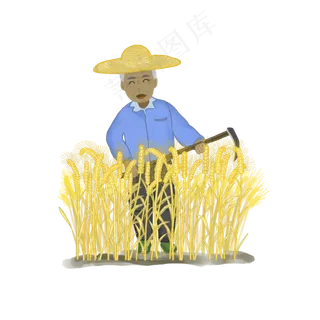 商用农业种植秋收农民粮食镰刀田