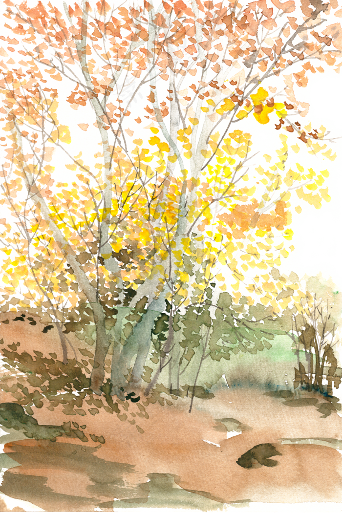 秋天的小树林水彩画PNG免抠素材(3333X5000(DPI:300))psd模版下载