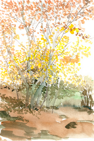 秋天的小树林水彩画PNG免抠素材