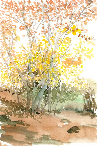 秋天的小树林水彩画PNG免抠素材