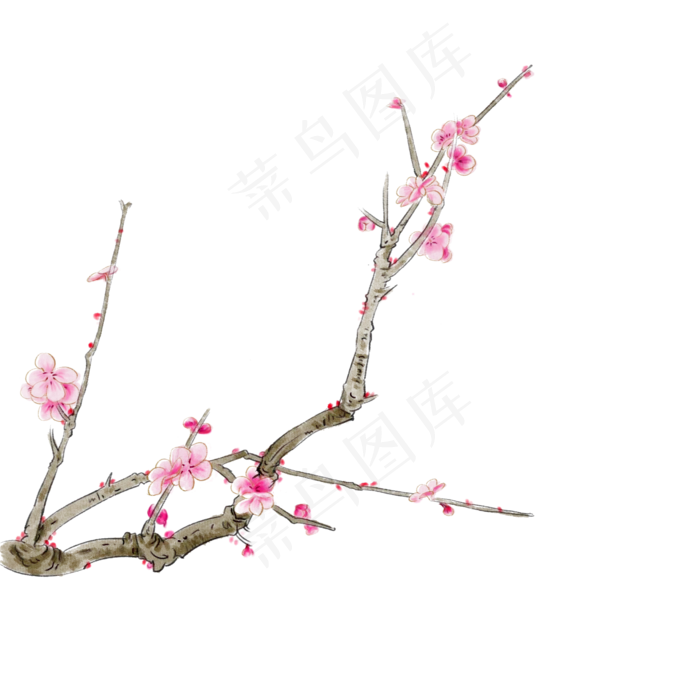 中国风手绘梅花枝干(2000X2000(DPI:300))psd模版下载