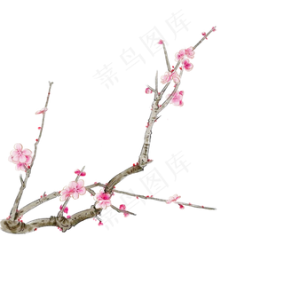 中国风手绘梅花枝干