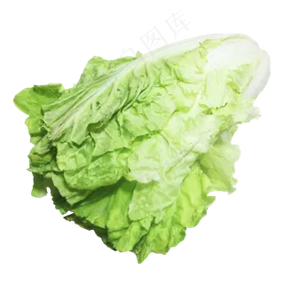 大白菜蔬菜