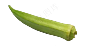 绿色蔬菜秋葵