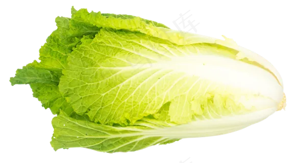 一颗蔬菜白菜