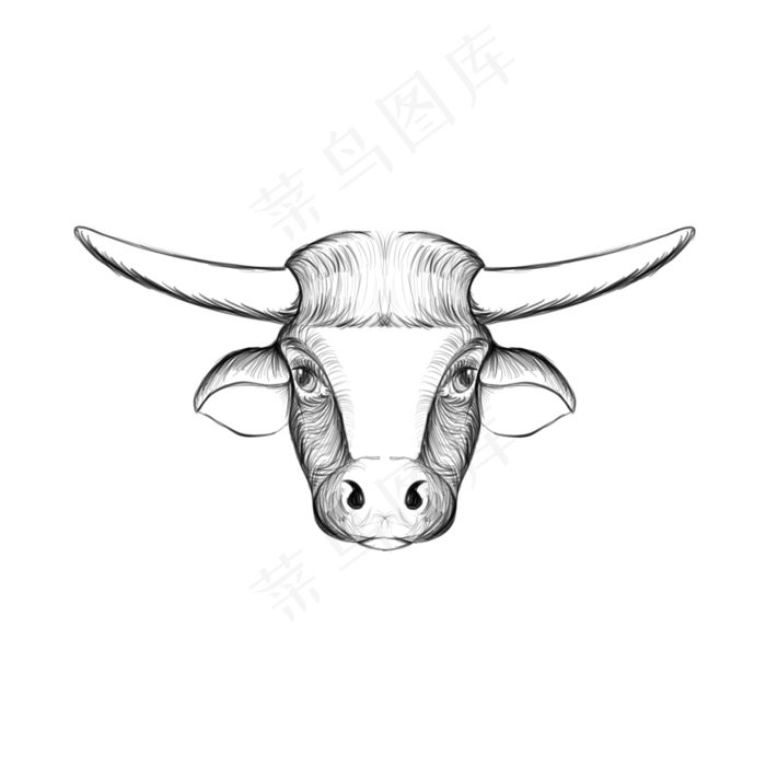 线稿牛牛头(2000X2000(DPI:300))psd模版下载