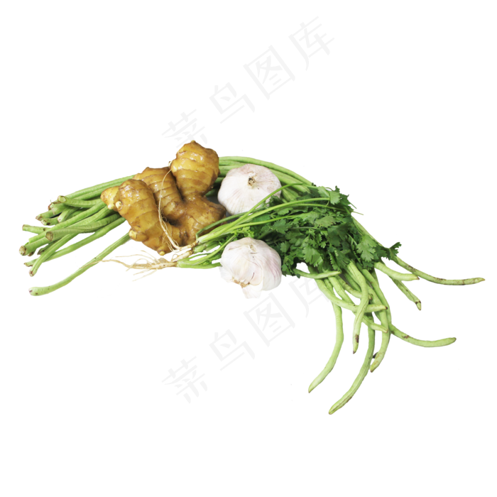 食材豆角姜大蒜