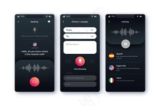 语音翻译应用