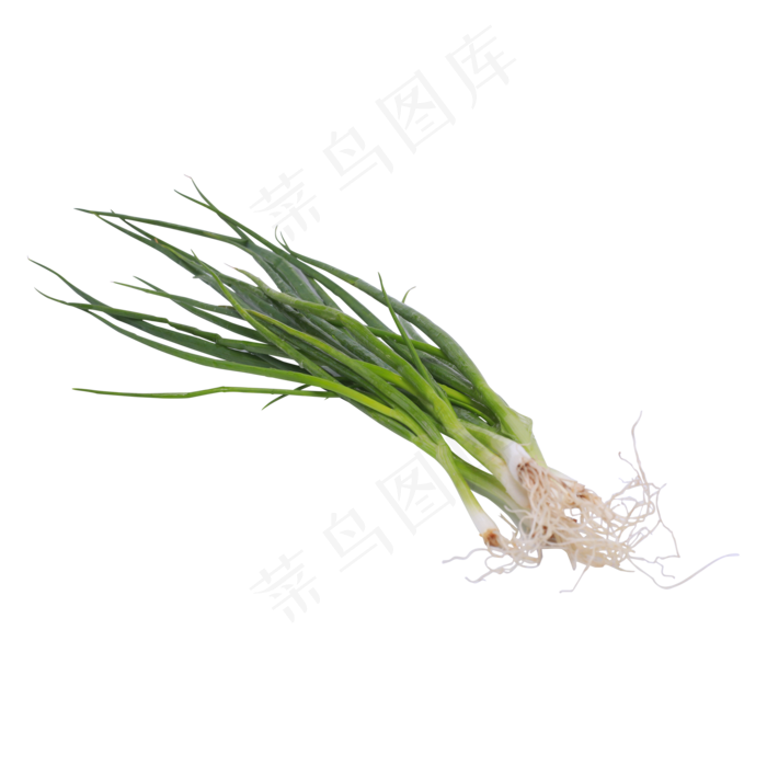 大葱蔬菜实拍(2000*2000px 300 dpi )