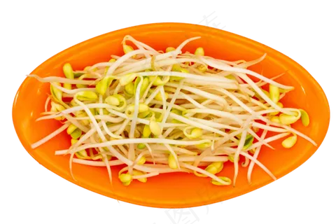 黄色蔬菜豆芽 黄色蔬菜豆芽