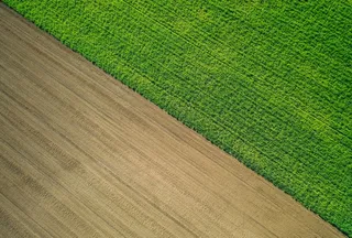 绿色农田的美丽航拍