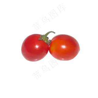 新鲜小番茄