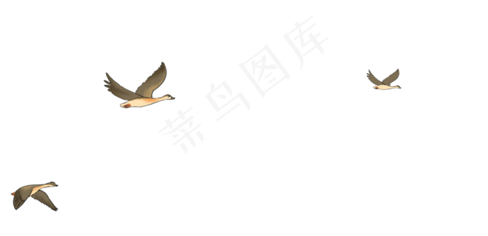 寒露秋天大雁南飞(4130X2000(DPI:350))psd模版下载