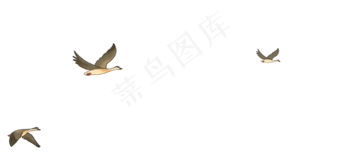 寒露秋天大雁南飞(4130X2000(DPI:350))psd模版下载