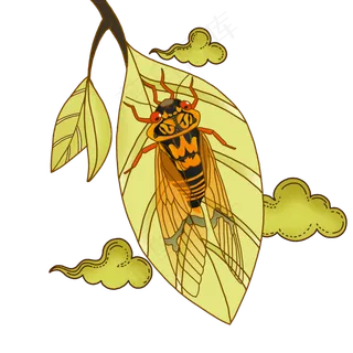 手绘古风秋天禅意金蝉知了