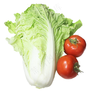 大白菜西红柿蔬菜组合