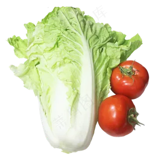 大白菜西红柿蔬菜组合 大白菜西红柿蔬菜组合