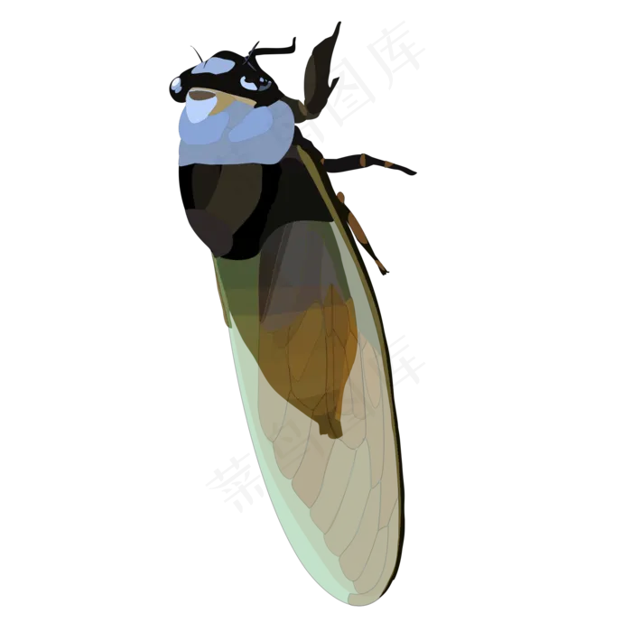 立秋知了蝉扁平风小清新手绘写实(2000X2000(DPI:300))psd模版下载