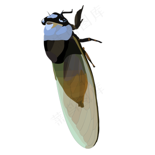 立秋知了蝉扁平风小清新手绘写实