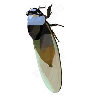 立秋知了蝉扁平风小清新手绘写实