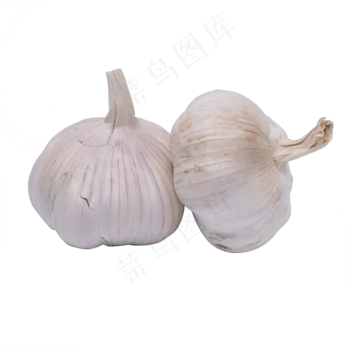 蒜头实拍(2000*2000px 300 dpi )